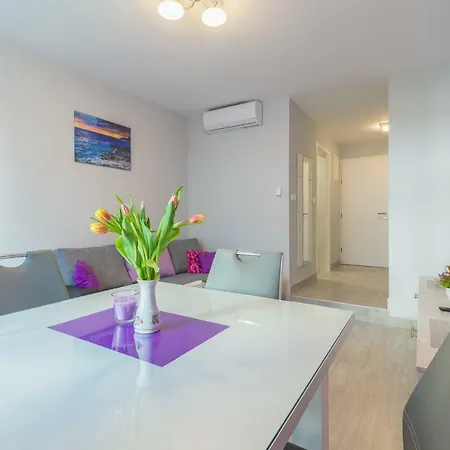 Lavanda - New * Zára