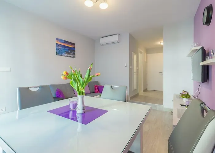 Lavanda - New * Zára